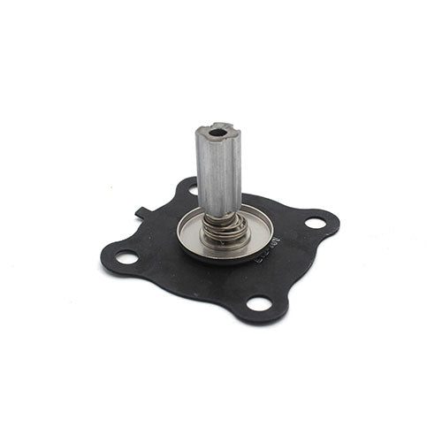 Delta Repair Kit - Steam Solenoid