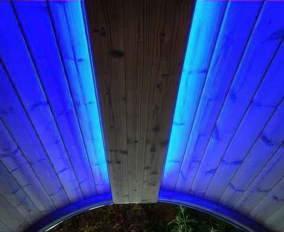 SaunaLife Emood Color Lighting for ERGO Sauna