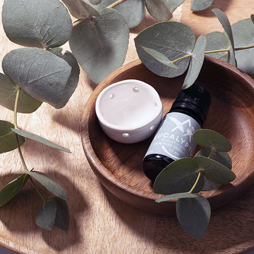 Saunum Aroma Oil Set - Eucalyptus Aroma Oil with Reservoir, 10 mL — view 2