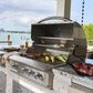 Blaze Professional 34 in., 3 Burner Built-In Natural Gas Grill, BLZ-3PRO-NG
